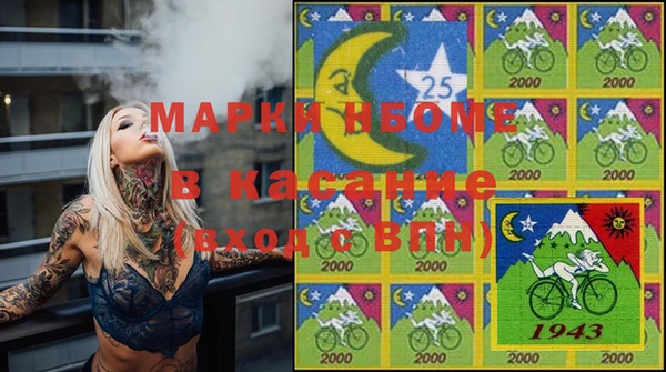 твердый Инсар