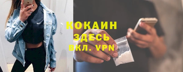 твердый Инсар