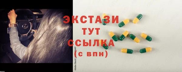 твердый Инсар