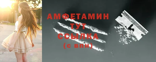 твердый Инсар