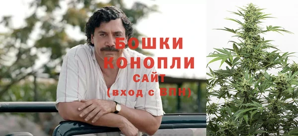 твердый Инсар
