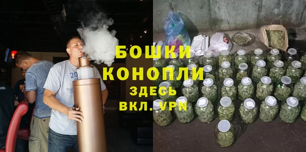 твердый Инсар