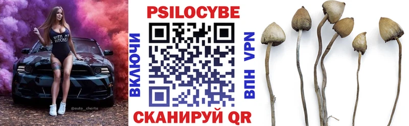 Псилоцибиновые грибы ЛСД  Купить  Гулькевичи 